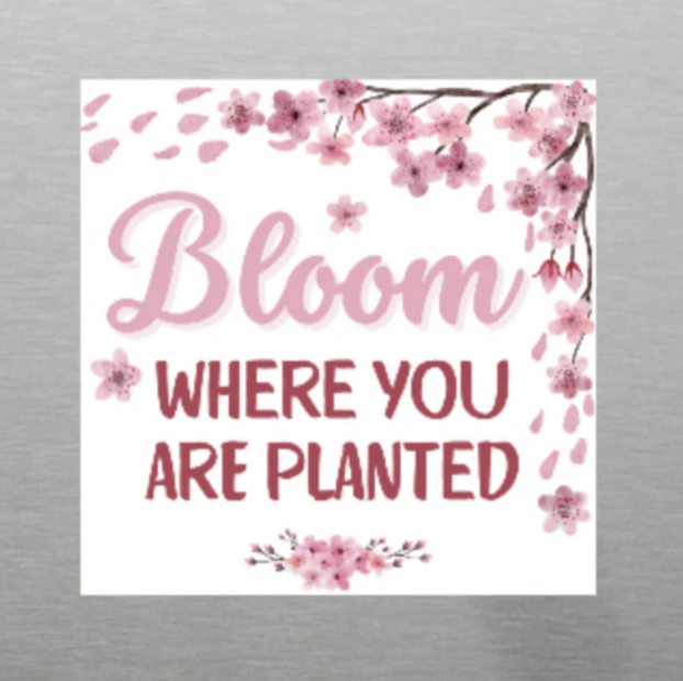 “Bloom Where You’re Planted” Inspirational Magnet